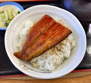 食用ウナギの完全養殖